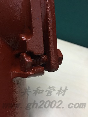 檢查口