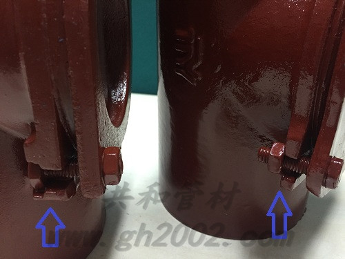檢查口